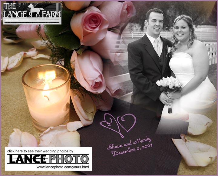 Click Here to see pictures from the Shaun and Mandy Walker Wedding at the Lange Farm